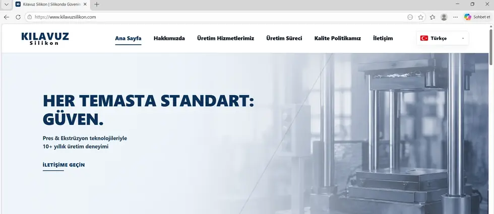 Kılavuz Silikon web tasarım örneği